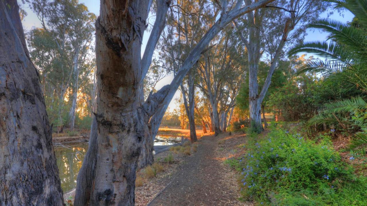 Moama Riverside Holiday Park Exterior foto